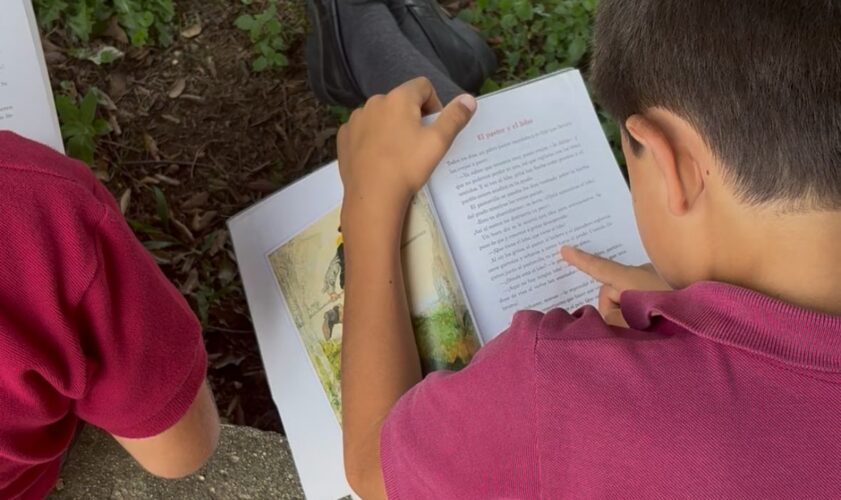 Descubre la importancia de la lectura comprensiva: cómo entender lo que leemos mejora nuestra mente y sensibilidad 2 Descubre la importancia de la lectura comprensiva: cómo entender lo que leemos mejora nuestra mente y sensibilidad