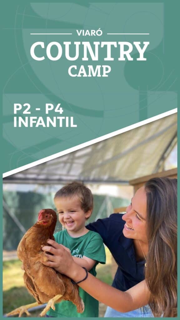 Actividades de verano Country Camp