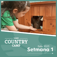 Country Camp 2023