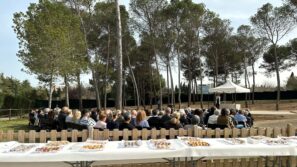 Fiesta abuelos header