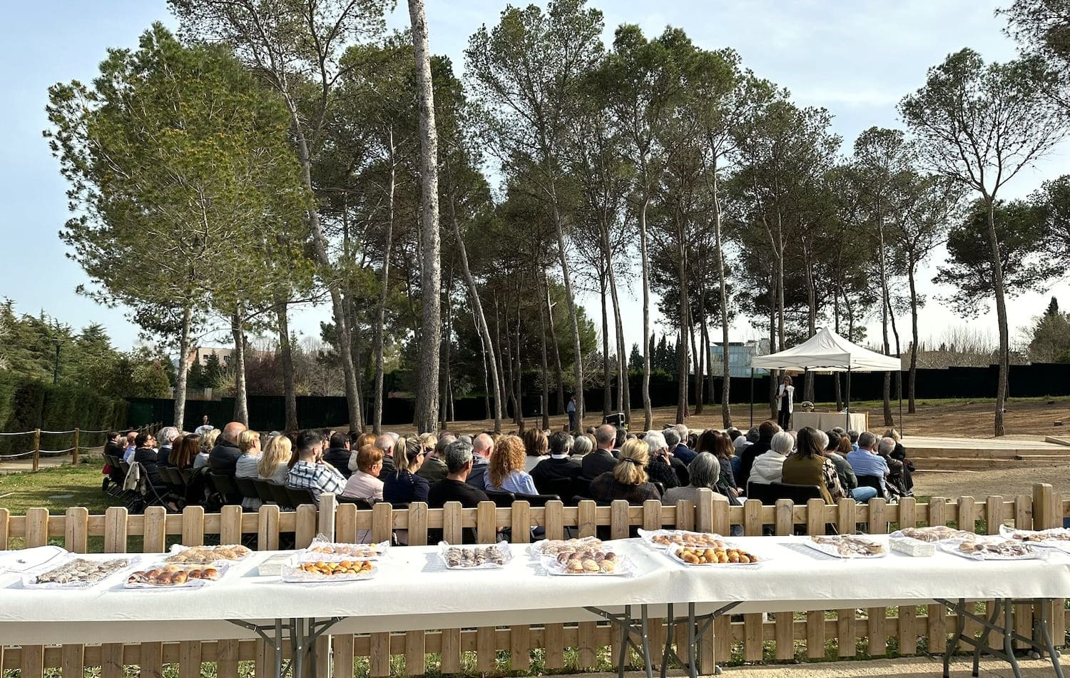 Fiesta de los abuelos 2024